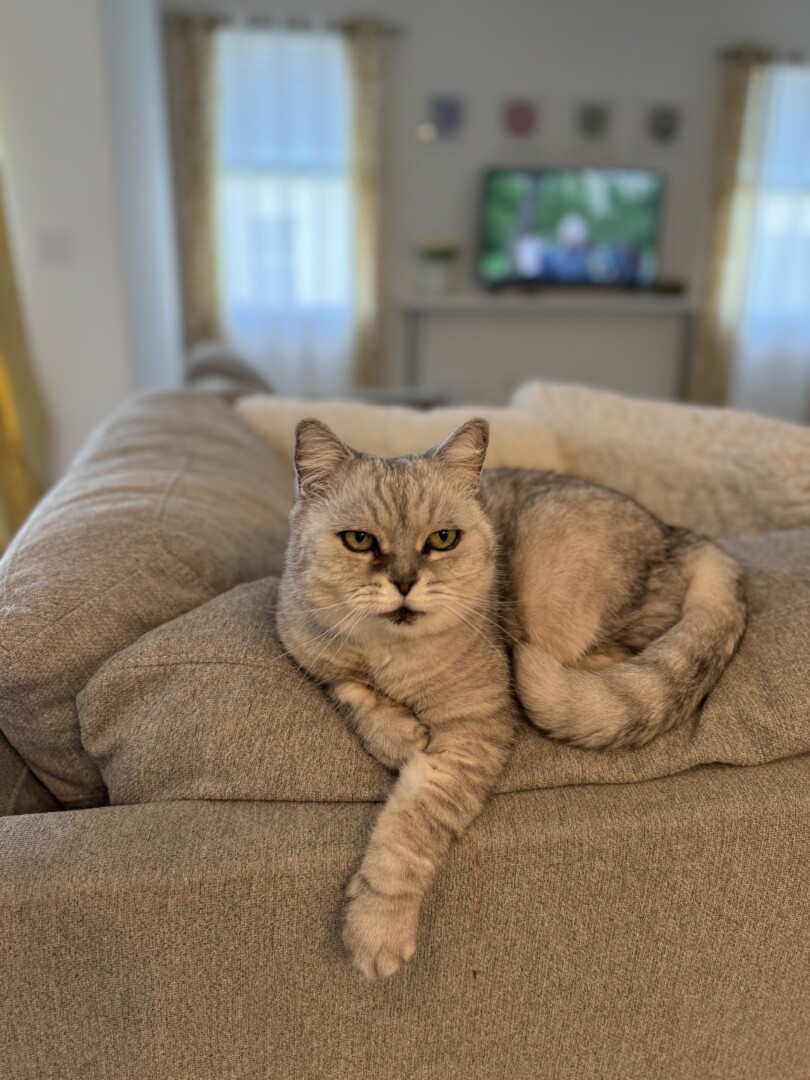 Eva