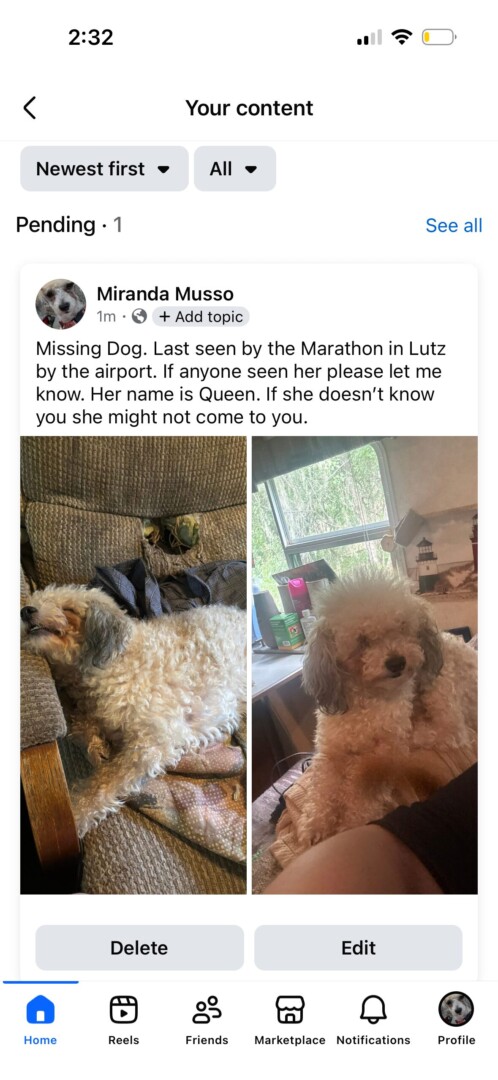 Queen