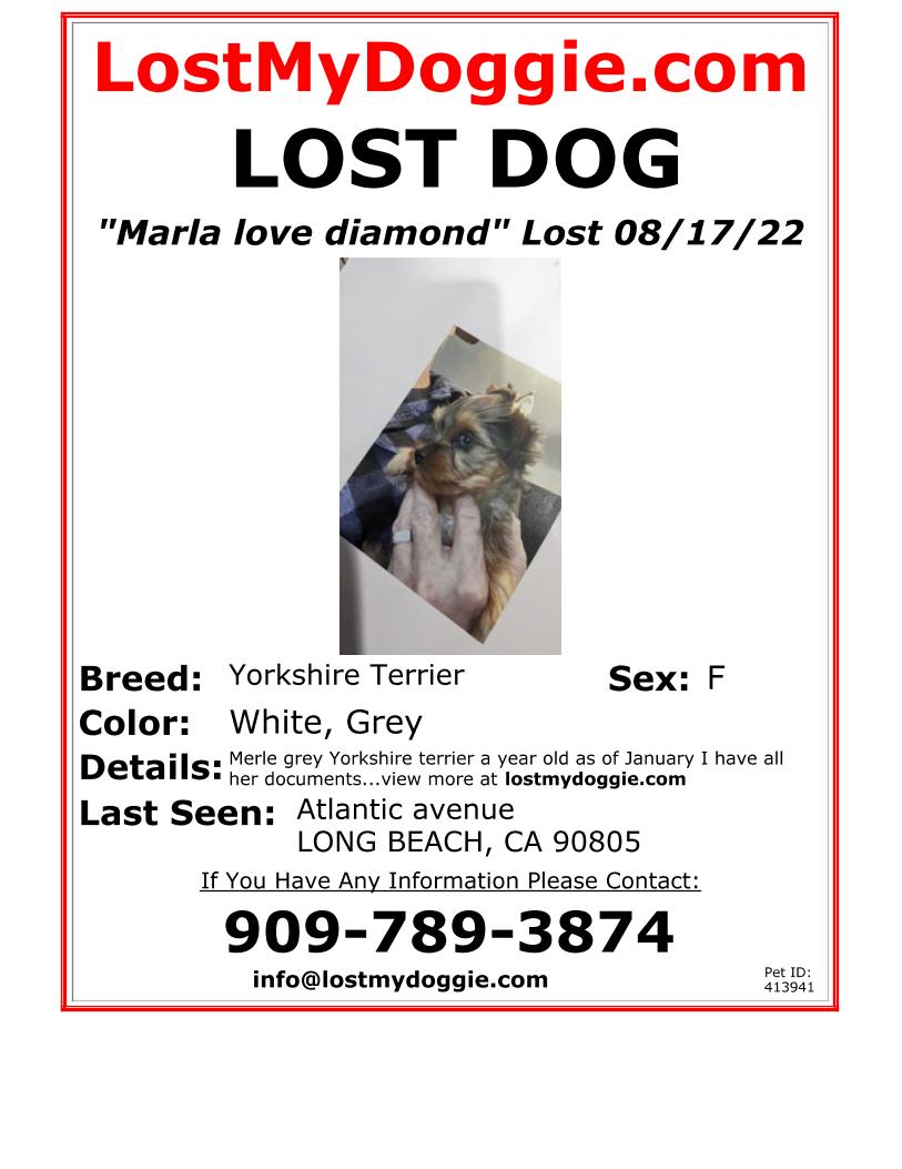 Lost pet Marla Love Diamond — last seen in Long Beach, CA