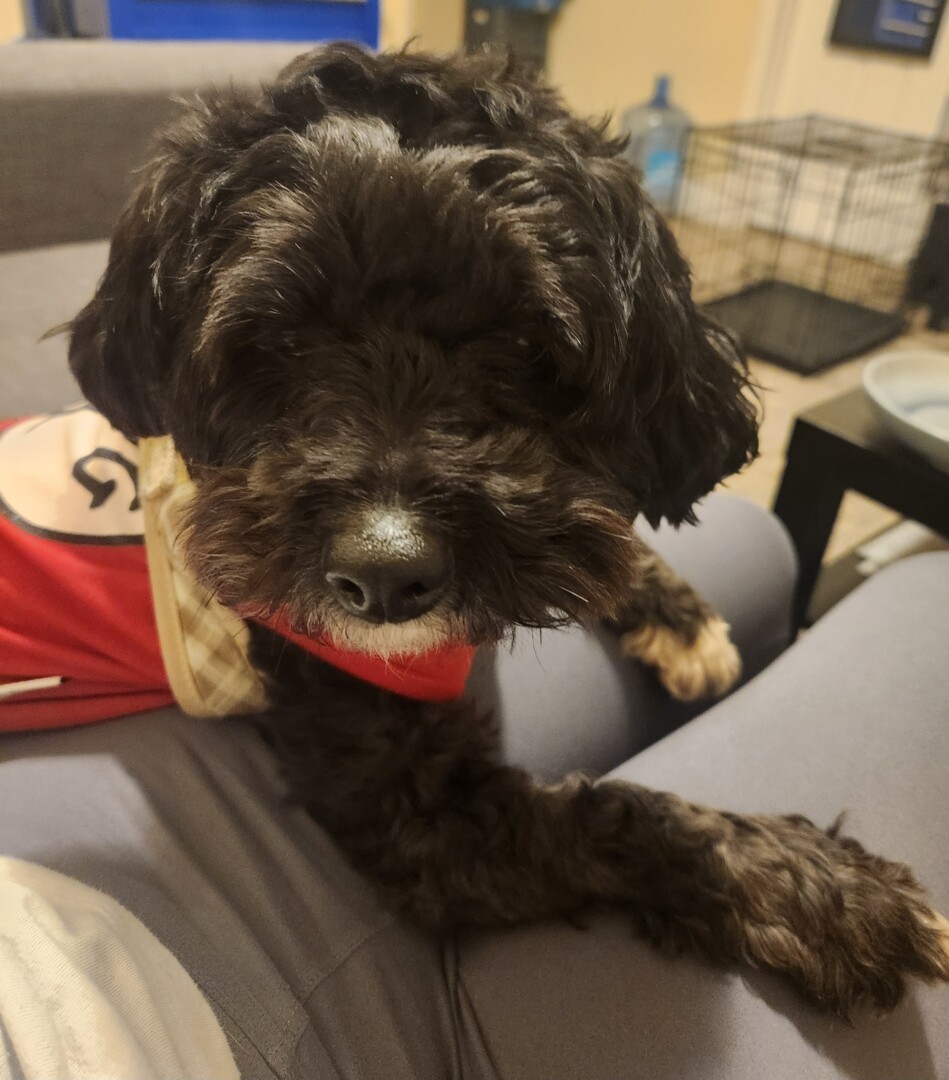 Mateo