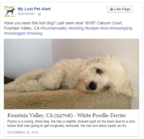 facebook-sponsored
