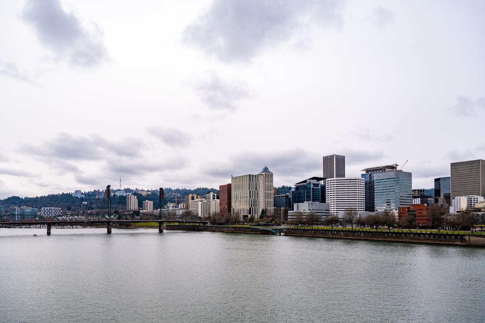 Lost a Pet in Portland? Your Local Action Plan and Shelters