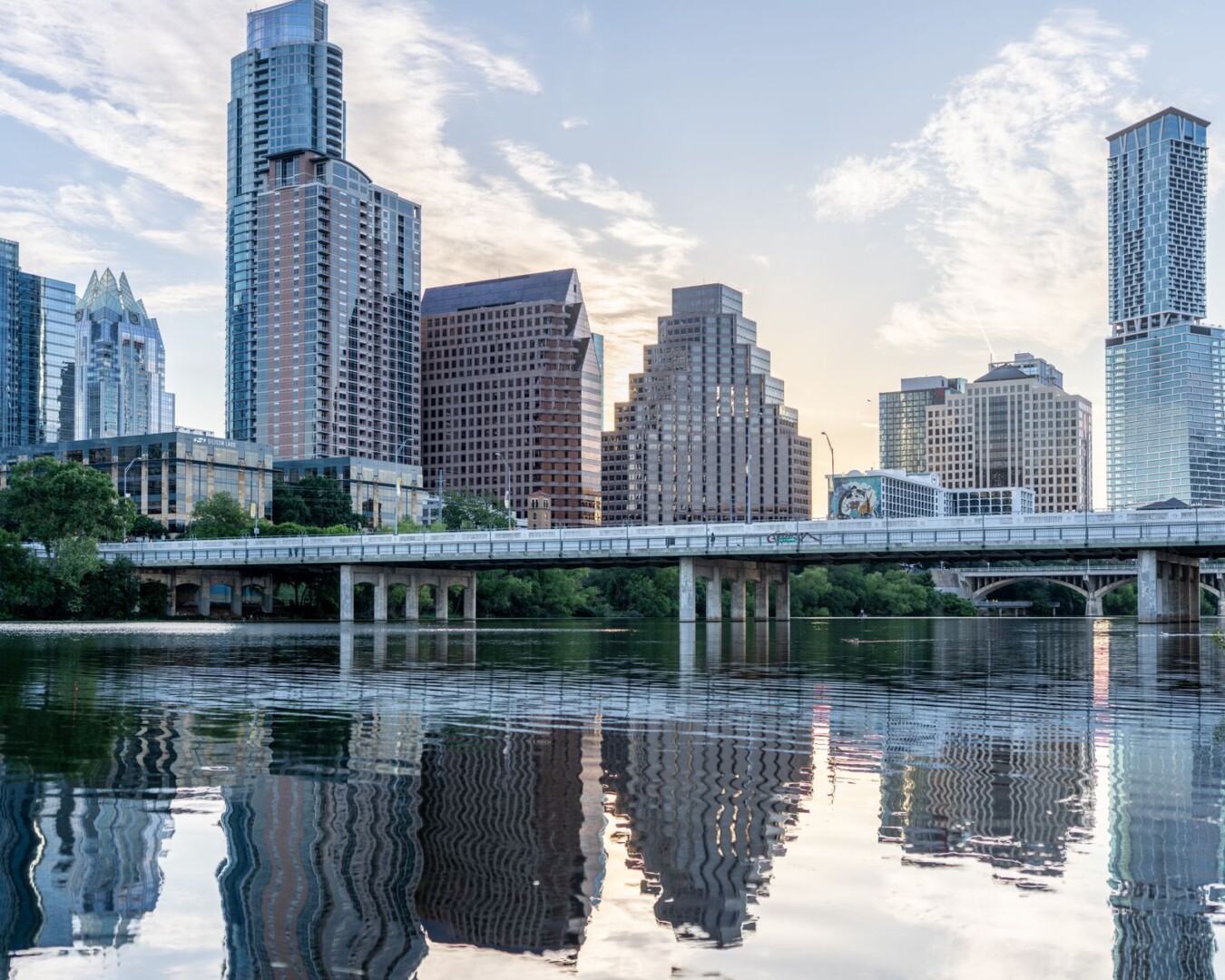 Lost a Pet in Austin? Your Local Action Plan and Shelters