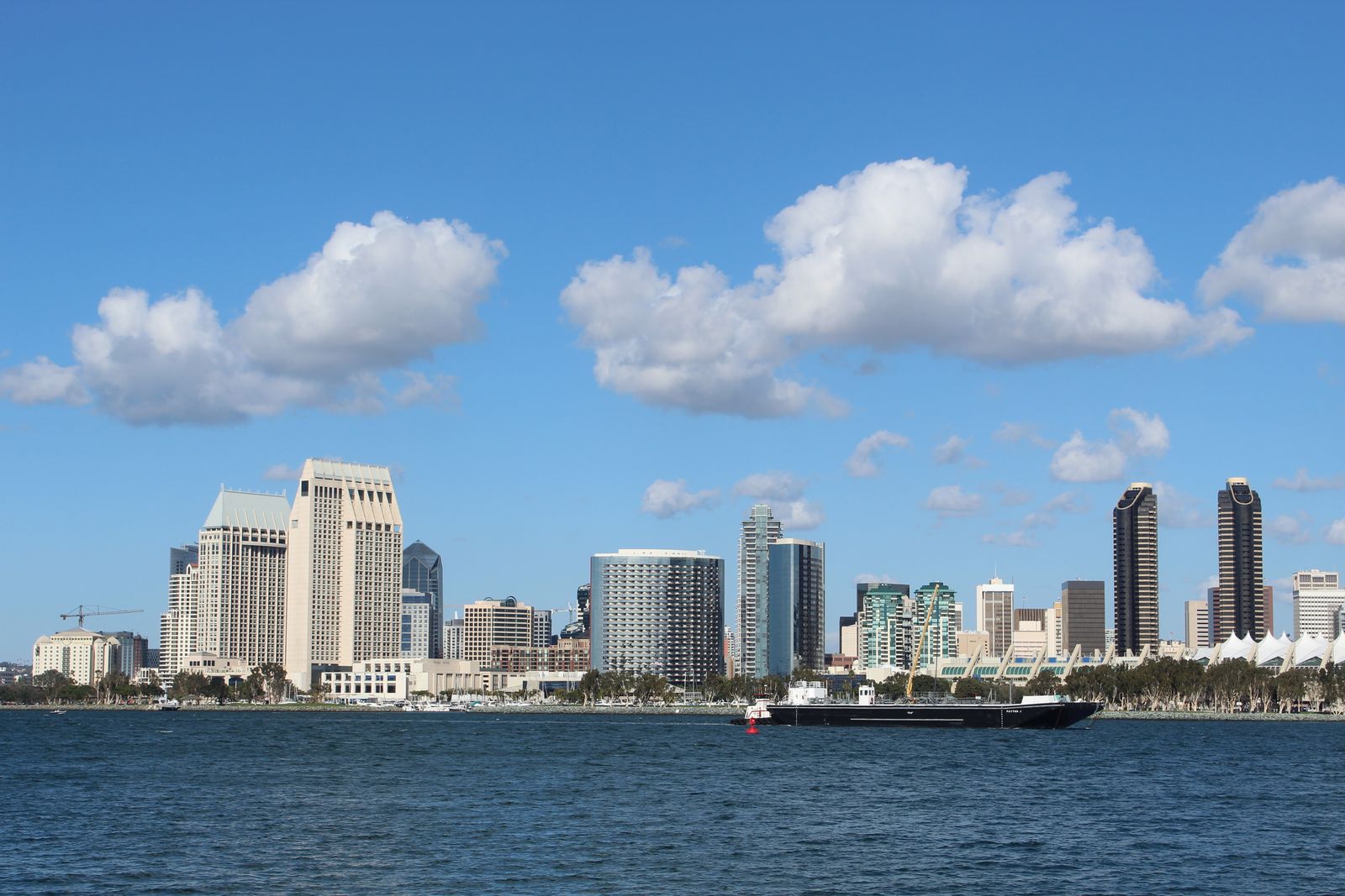 Lost a Pet in San Diego? Your Local Action Plan and Shelters