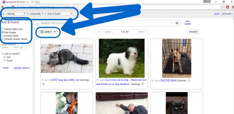 searchcl1
